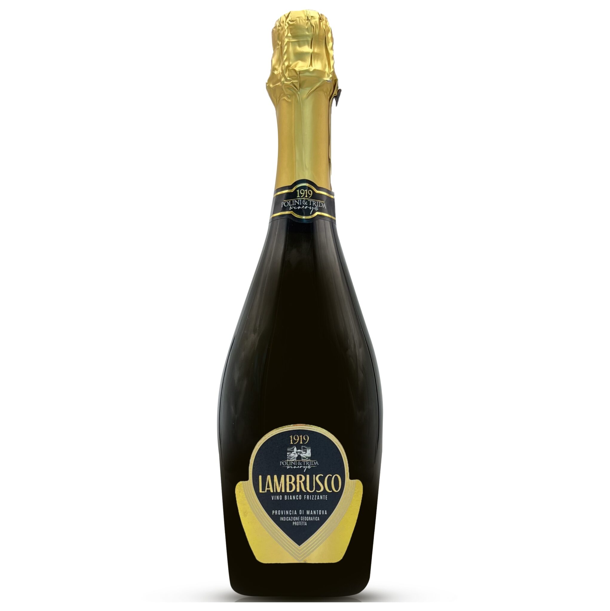 Lambrusco Bianco Secco Provincia di Mantova IGP Polini&Trida 0,75 l